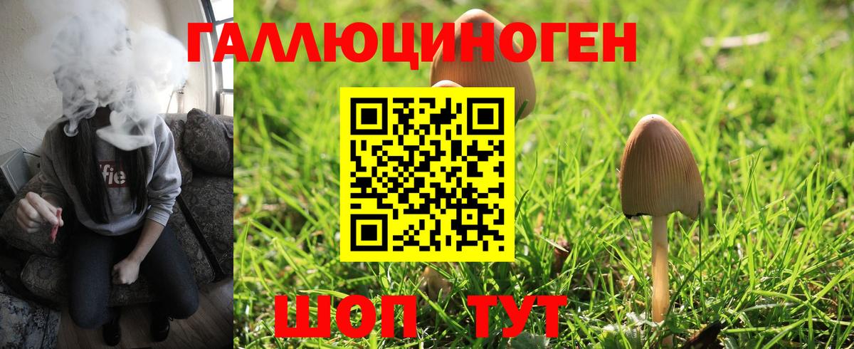 Назрань  Псилоцибиновые грибы мицелий  Вход с VPN 